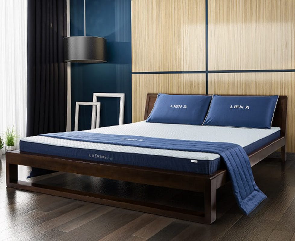 demcaosu-liena-ladome-blue4