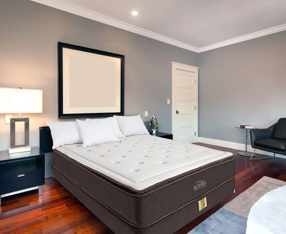 dem-lo-xo-hanvico-aloe-vera3