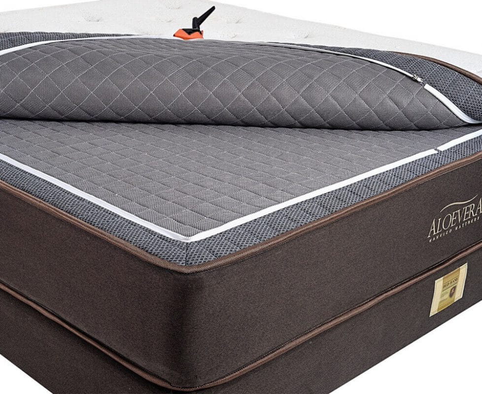 dem-lo-xo-hanvico-aloe-vera5