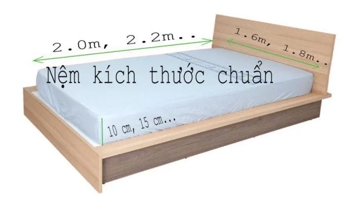 Các kích thước đệm cao su, lò xo thông dụng