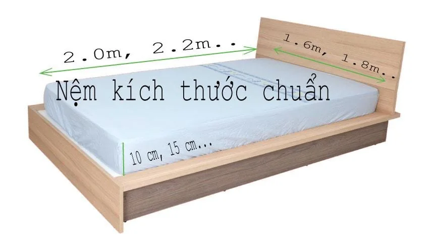 Các kích thước đệm cao su, lò xo thông dụng