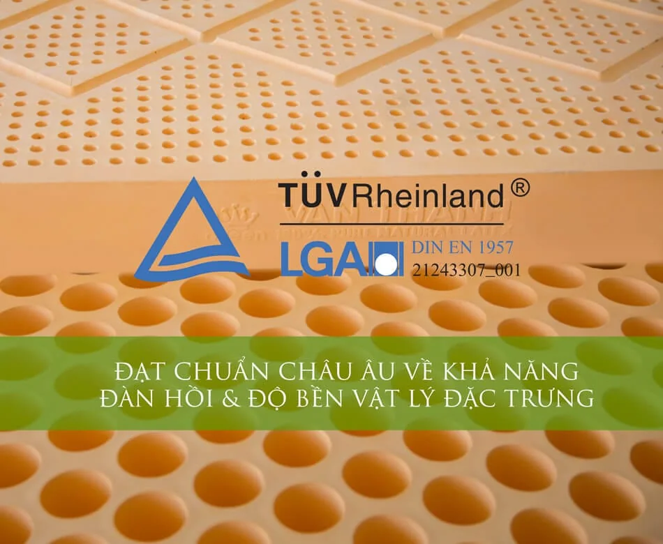 mua_dem_cao_su_van_thanh_5