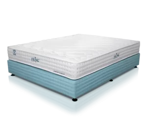 nem-lo-xo-tui-asling-3-sao