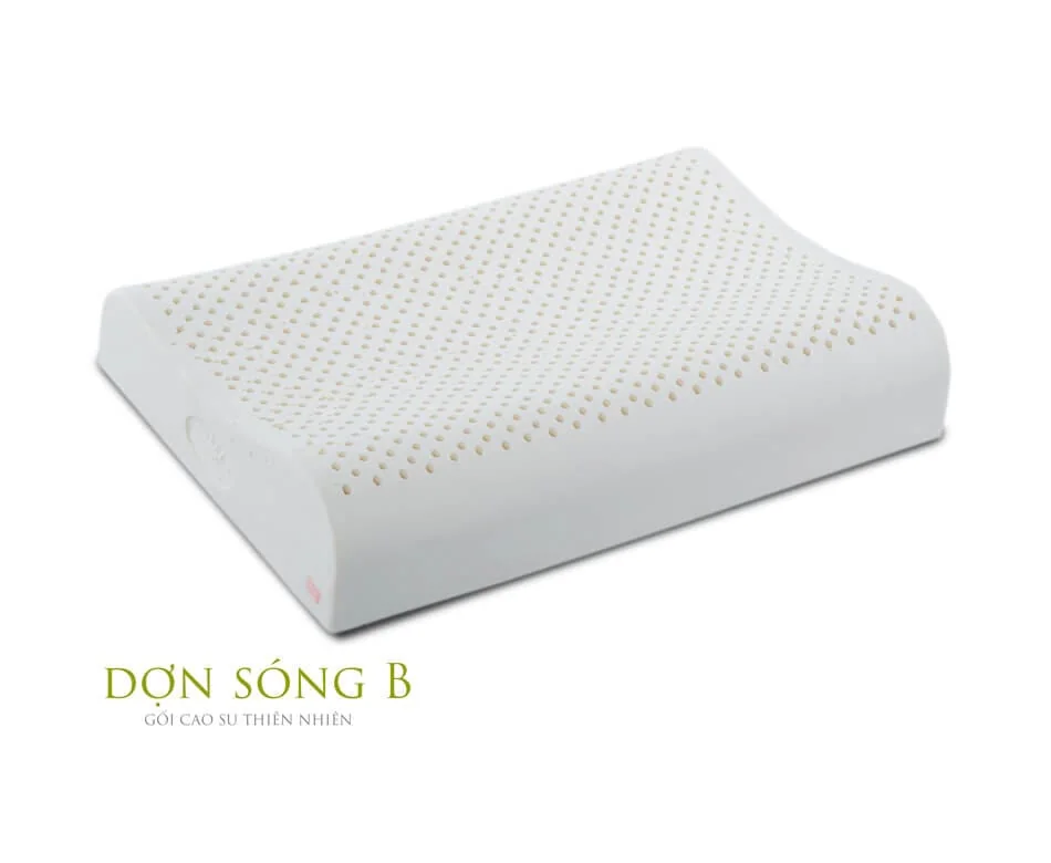 goi-cao-su-van-thanh-don-song-b goi-cao-su-van-thanh-don-song-b