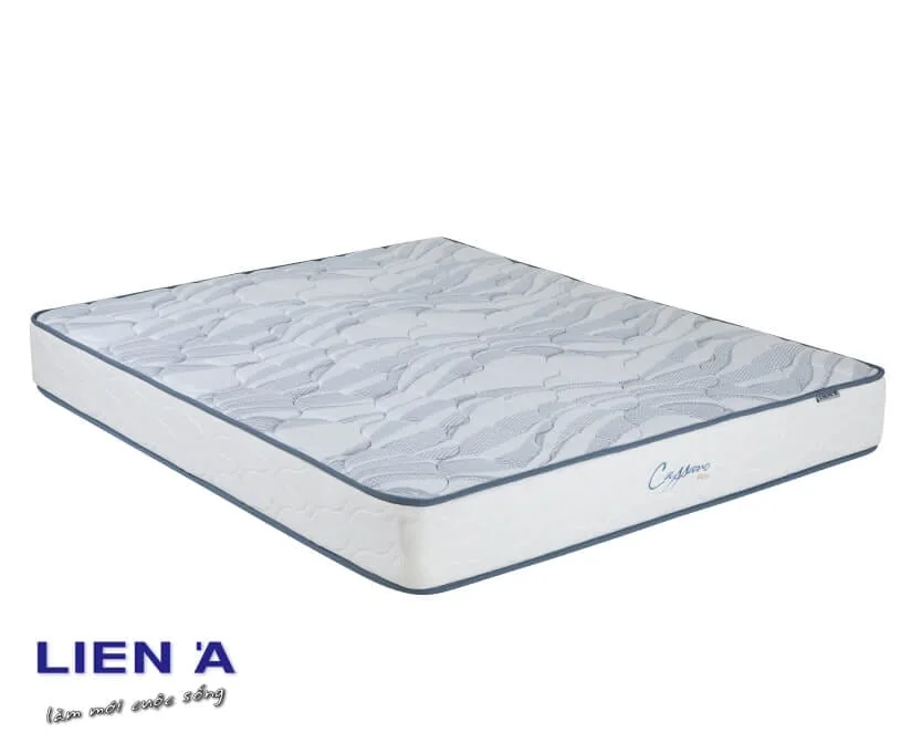 dem-lo-xo-liena-cassaro_firm-2 dem-lo-xo-liena-cassaro_firm-2