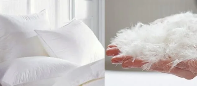 NHỮNG LOẠI GỐI ĐẦU TỐT NHẤT HIỆN NAY