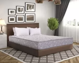 Đệm Sông Hồng thế hệ 3