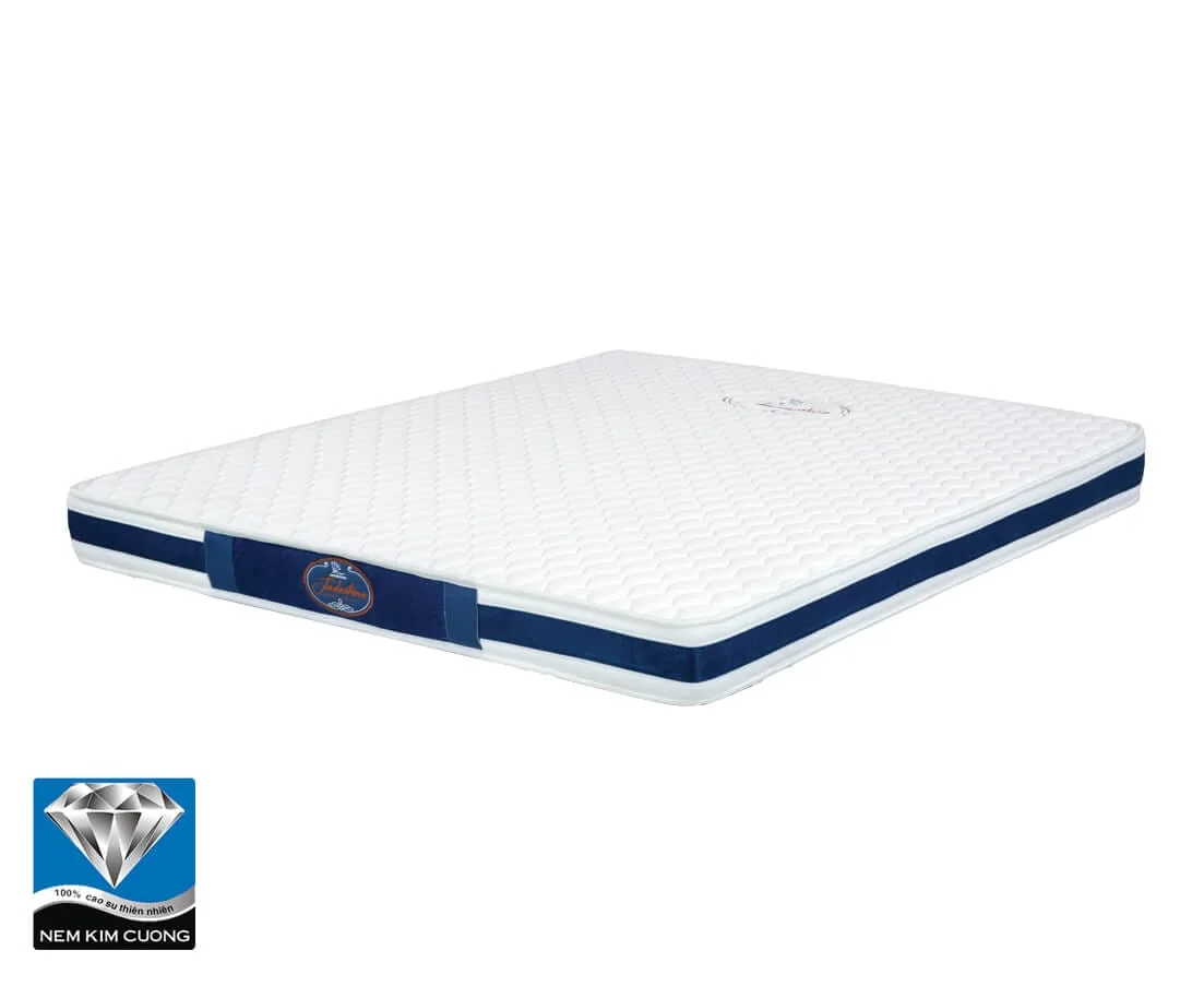 17804_P_1559005036852 Đệm cao su Tổng hợp Jadeiton 1 mảnh