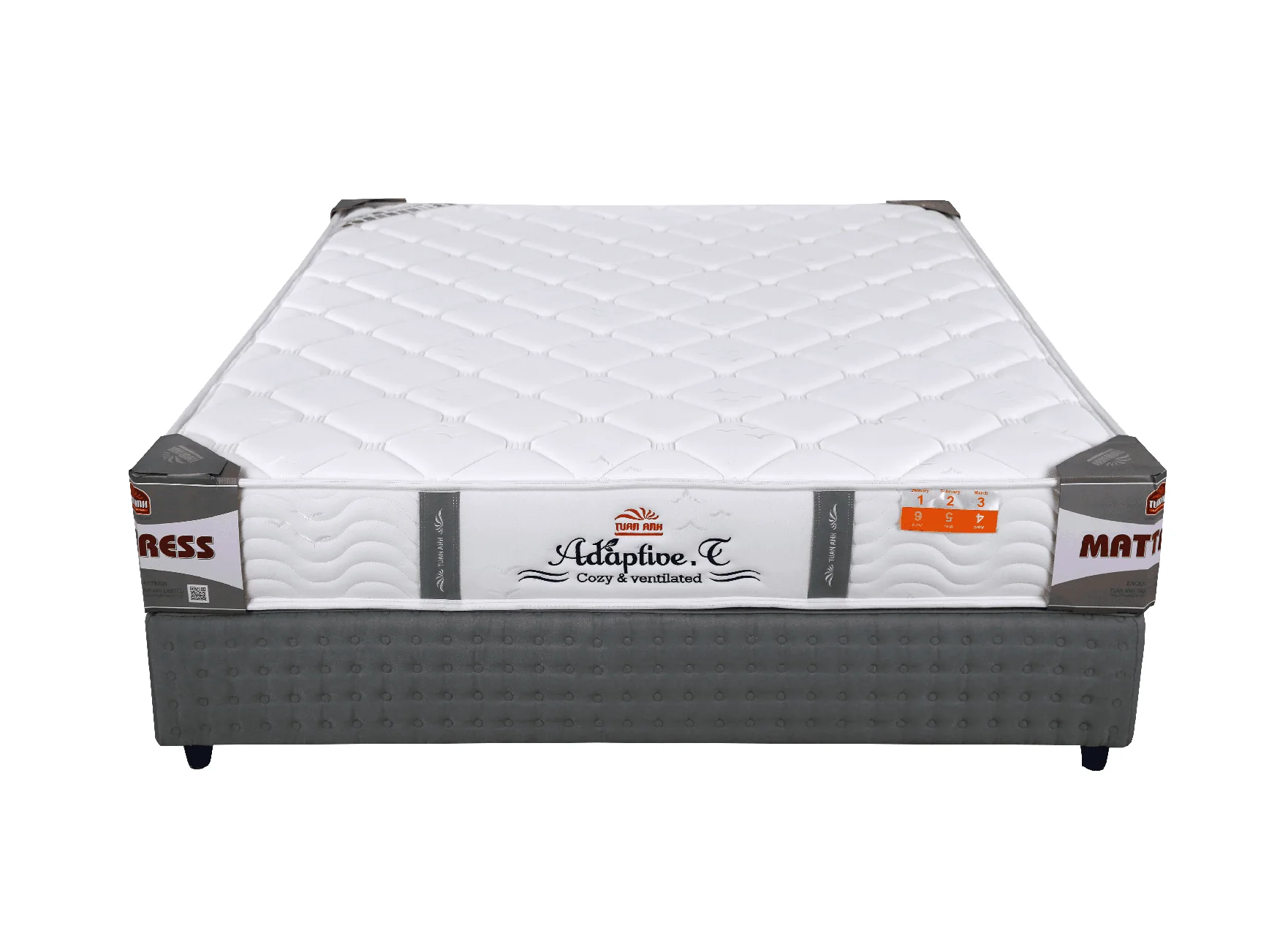 4303dem-lo-xo-tui-adaptive-1 Đệm lò xo túi Adaptive