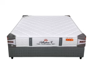 Đệm lò khách sạn Adaptive Túi