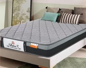 Đệm Lò Xo Túi Màu Cân Bằng Nhiệt