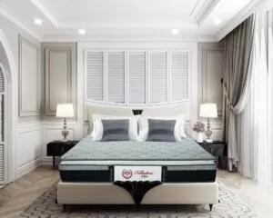 Đệm lò xo cối Adaptive Pro