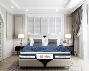 Đệm Lò Xo Túi Adaptive Pro Max