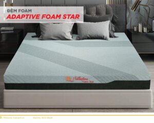 Đệm Foam Adaptive Star