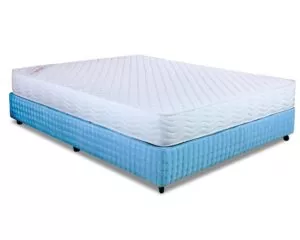 Đệm Lò Xo Túi Cuộn Adaptive