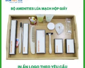 Phụ Kiện Dùng Một Lần