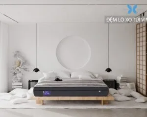 Đệm lò xo túi cuộn Vimatt 24cm