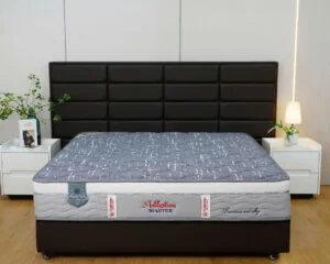 Đệm lò xo túi Adaptive Master 30cm